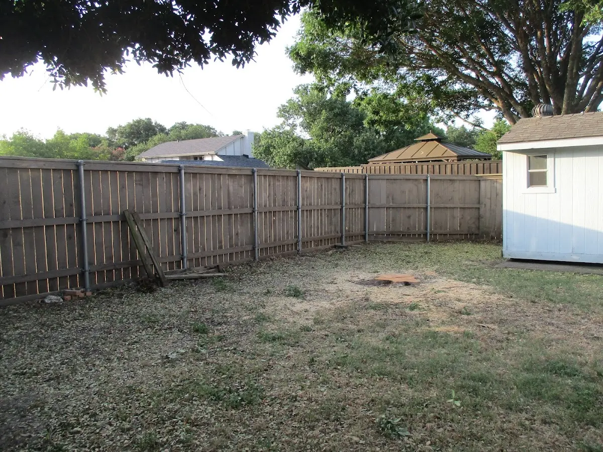Cleared yard after professional tree removal in Harvard